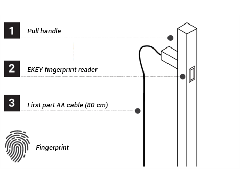 reguittiinox-next-35-schema-en