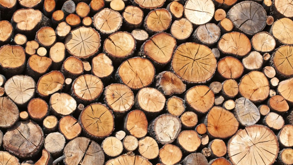 wood